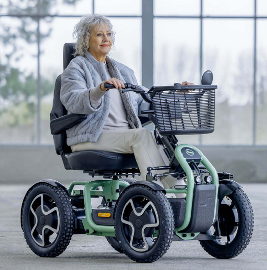 Elektromobil Sterling S800 by Scoozy mit Federung Lithium-Akku Farbdisplay Tempomat 15 km/h Scooter